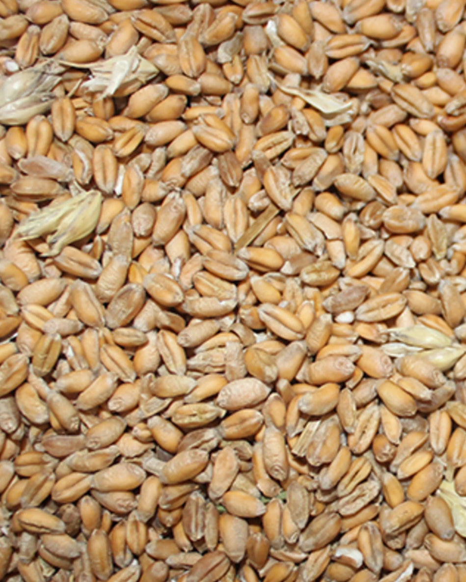 Hvede – Hele Kerner i 25 kg Sæk