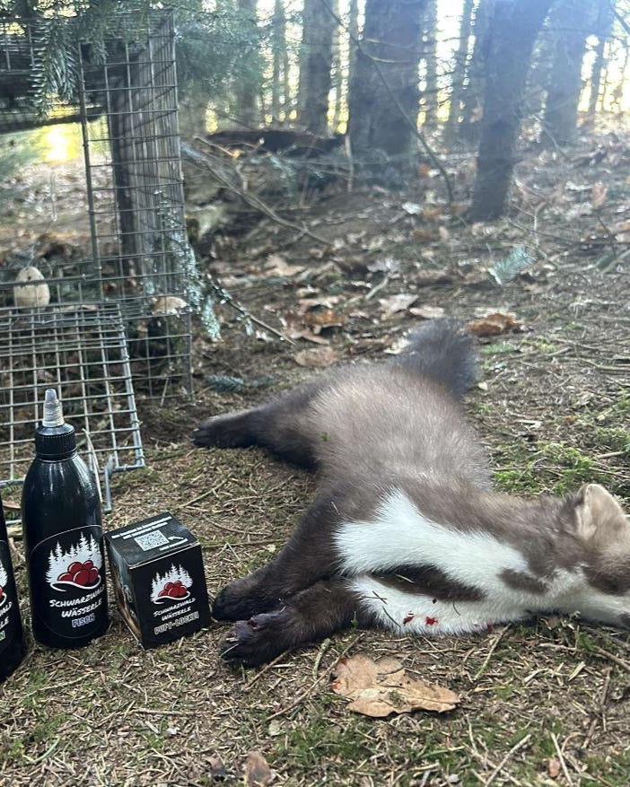 Lokke-æg til duftkugler