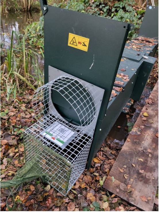 Krefelder fangstnet monteret ved en kassefælde