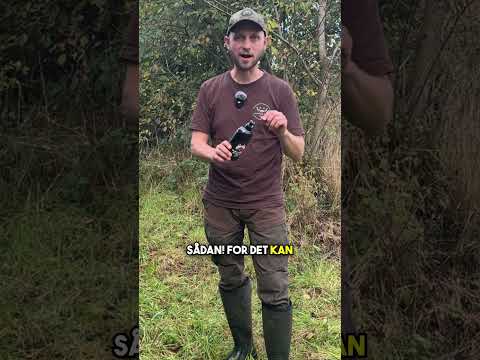 Panzen Lure