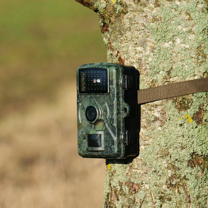16MP Vildtkamera - Senzor