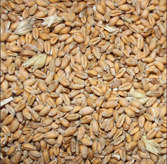 Hvede – Hele Kerner i 25 kg Sæk