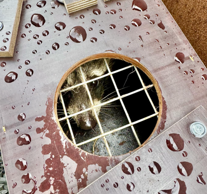 HC99/2 - Stor Mår træ-fælde (LBH:99x27x27)