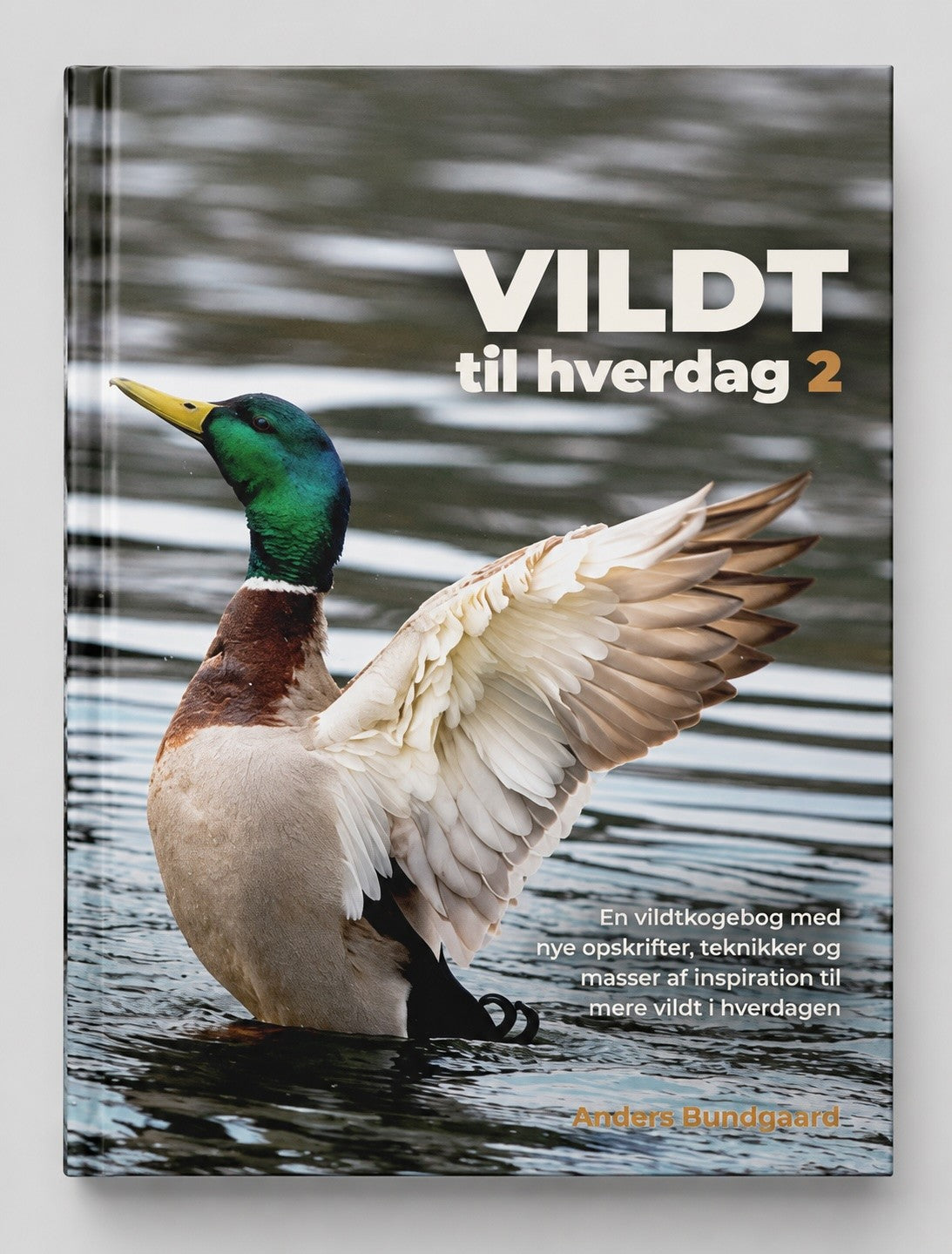 VILDT til hverdag 2