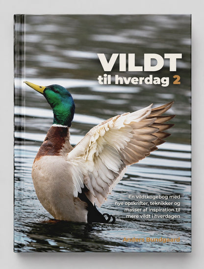 VILDT til hverdag 2