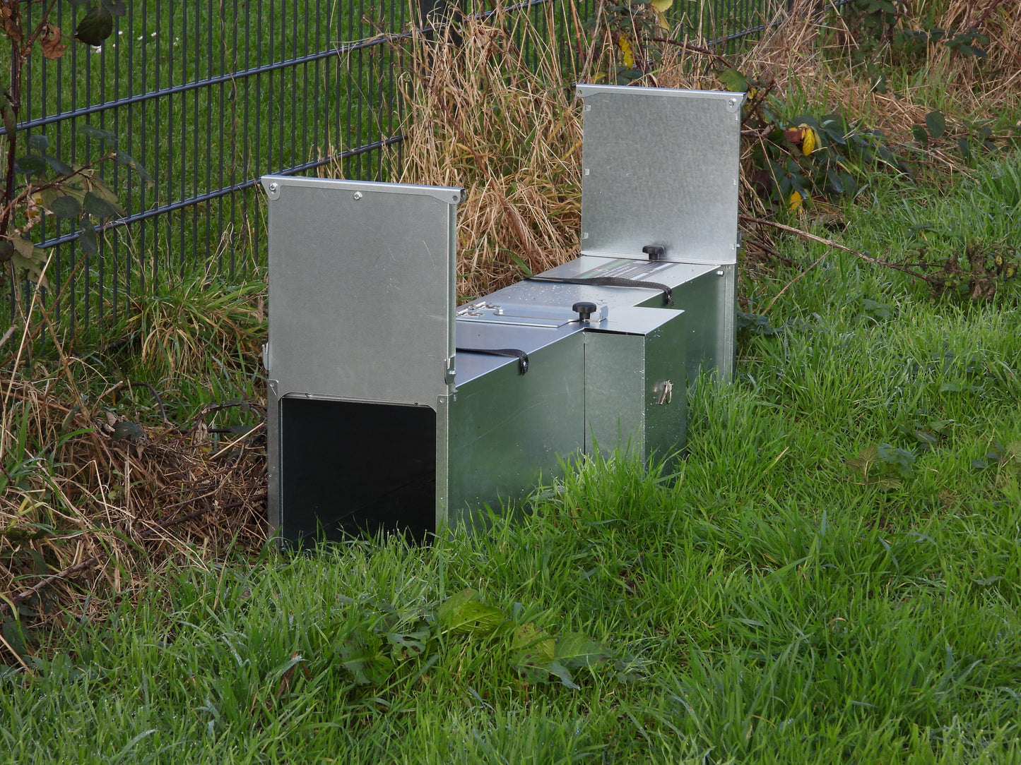 Husmår Metal kassefælde