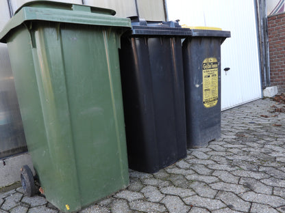 Skraldespandsfælde til vaskebjørne – City Trap