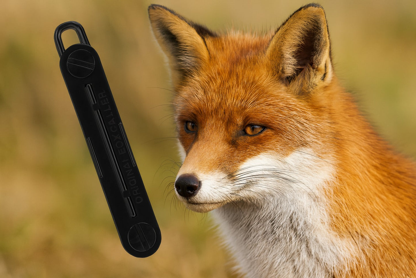 Rævekald - lokkekald